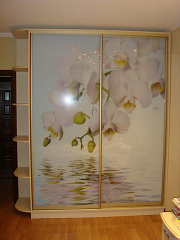 шкаф-купе фотопечать орхидея