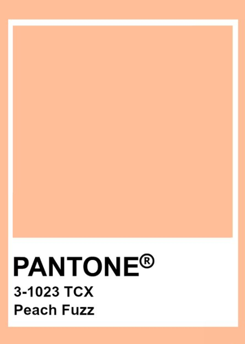 Модний колір пантон 2024 Peach Fuzz